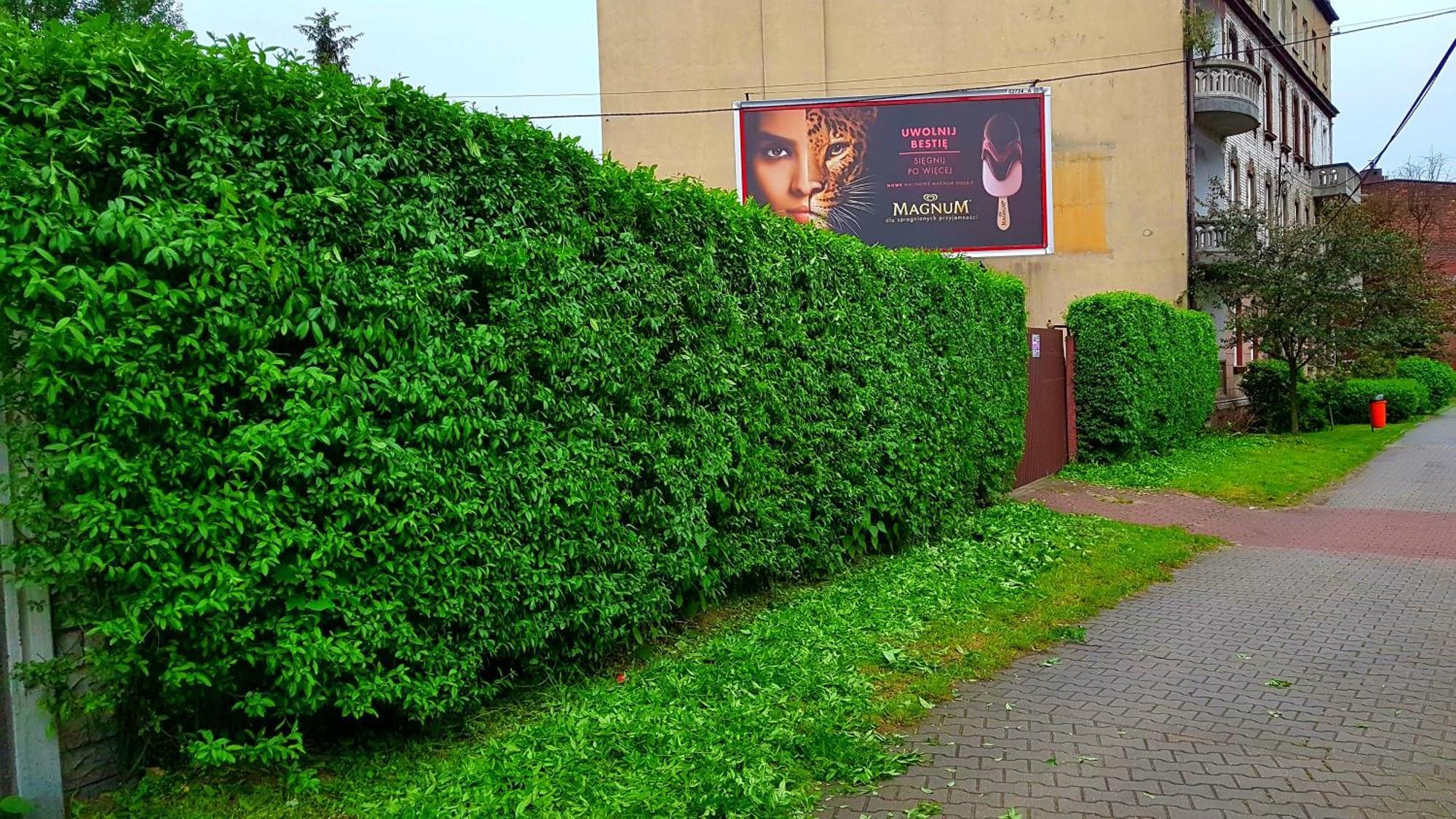 Apartament Park Slaski Katowice Exterior photo